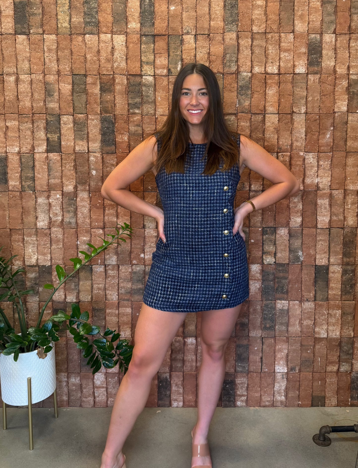 Tina Tweed Mini