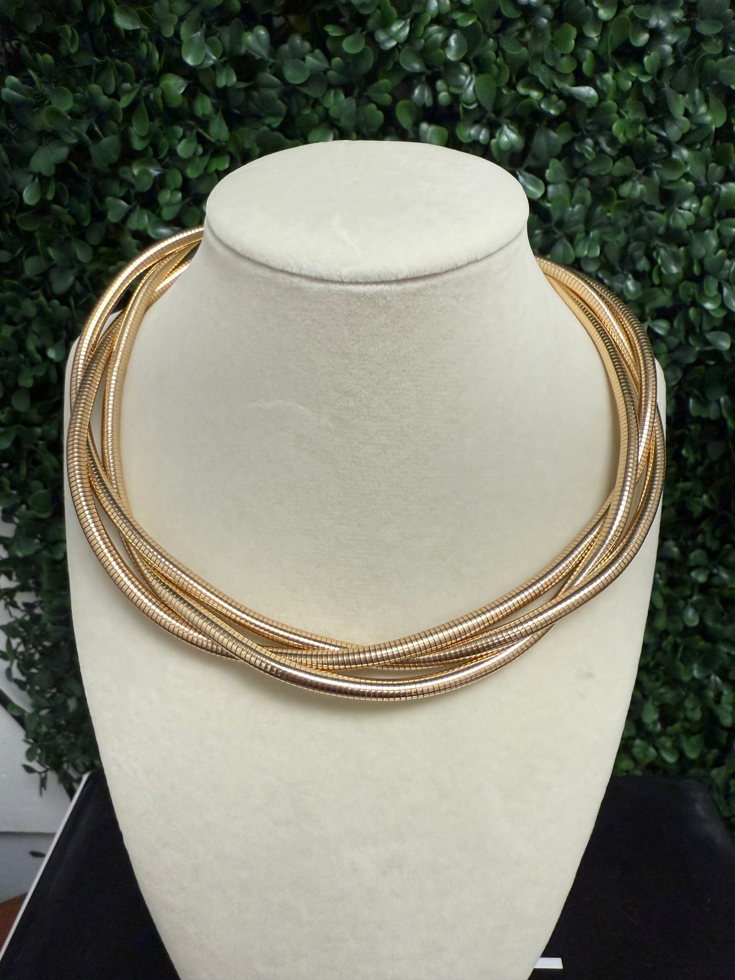 The Intertwined Necklace