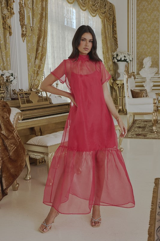 Organza Maxi Dress